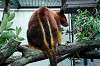 zoorasia_6258_mini.jpg