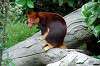 zoorasia_6323_mini.jpg