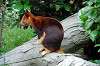 zoorasia_6324_mini.jpg