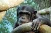 zoorasia_6560_mini.jpg
