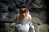zoorasia_6614_mini.jpg