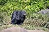 zoorasia_6891_mini.jpg