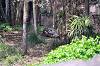 zoorasia_7257_mini.jpg