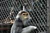 zoorasia_7314_mini.jpg