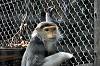 zoorasia_7316_mini.jpg