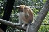 zoorasia_7645_mini.jpg
