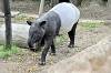 zoorasia_7943_mini.jpg