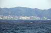 zushi_0229_mini.jpg