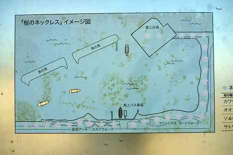 レインボーブリッジを歩く