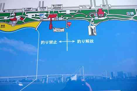 レインボーブリッジを歩く