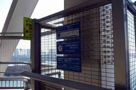 レインボーブリッジを歩く