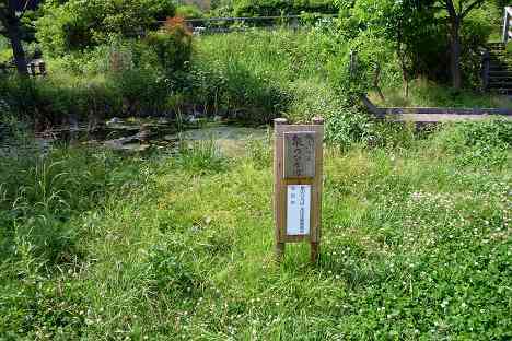 鶴見川本流全橋制覇の旅