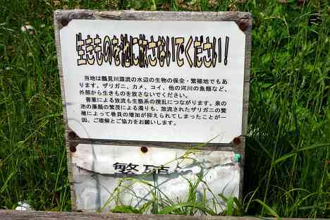 鶴見川本流全橋制覇の旅