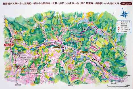 鶴見川本流全橋制覇の旅