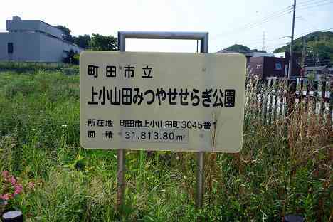 鶴見川本流全橋制覇の旅