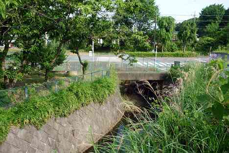 鶴見川本流全橋制覇の旅