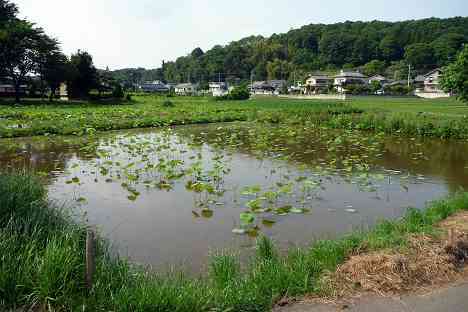 鶴見川本流全橋制覇の旅