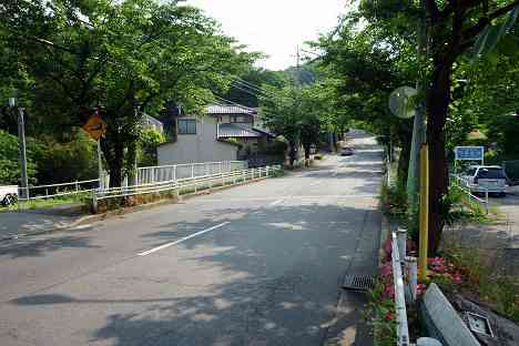 鶴見川本流全橋制覇の旅