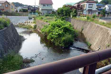 鶴見川本流全橋制覇の旅