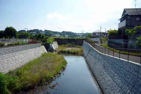 鶴見川本流全橋制覇の旅