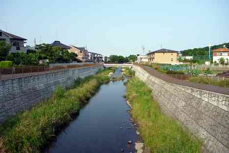 鶴見川本流全橋制覇の旅