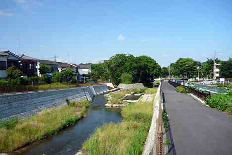 鶴見川本流全橋制覇の旅