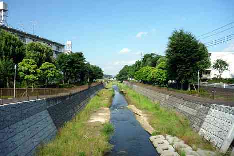 鶴見川本流全橋制覇の旅