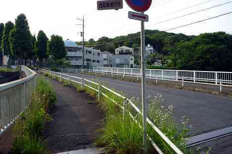 鶴見川本流全橋制覇の旅