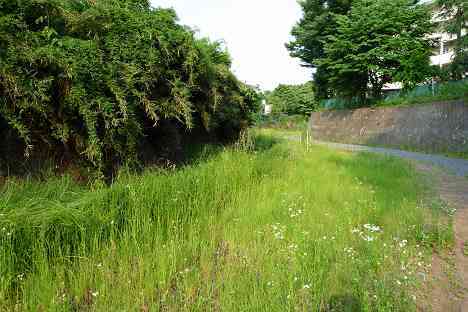 鶴見川本流全橋制覇の旅