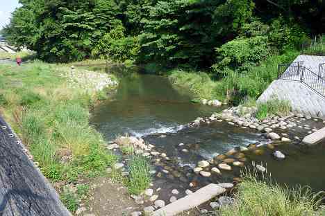 鶴見川本流全橋制覇の旅