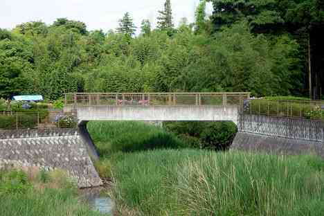 鶴見川本流全橋制覇の旅