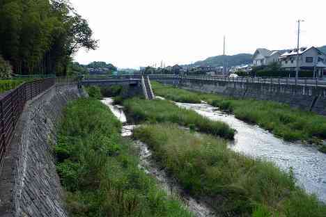 鶴見川本流全橋制覇の旅
