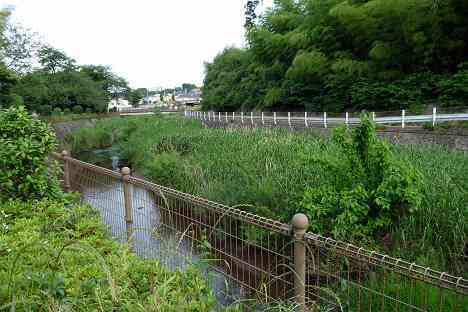 鶴見川本流全橋制覇の旅