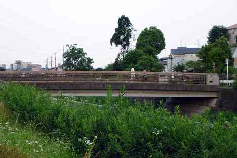 鶴見川本流全橋制覇の旅