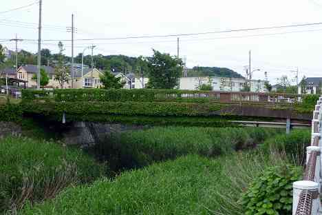 鶴見川本流全橋制覇の旅