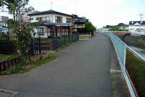 鶴見川本流全橋制覇の旅