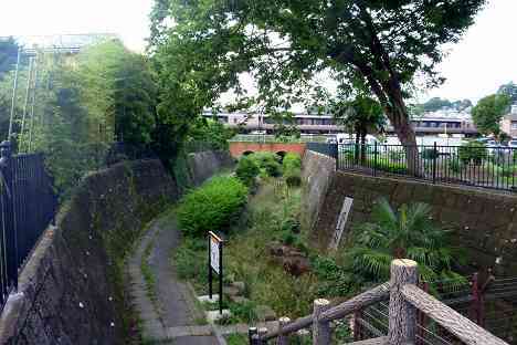 鶴見川本流全橋制覇の旅
