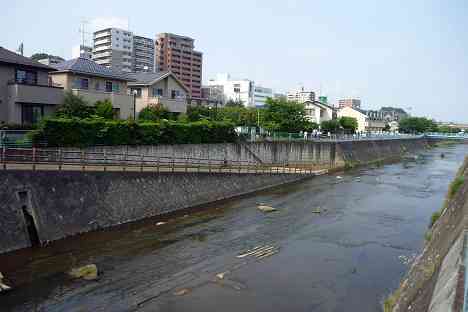 鶴見川本流全橋制覇の旅