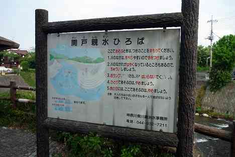 鶴見川本流全橋制覇の旅