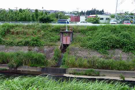 鶴見川本流全橋制覇の旅