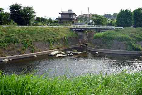 鶴見川本流全橋制覇の旅