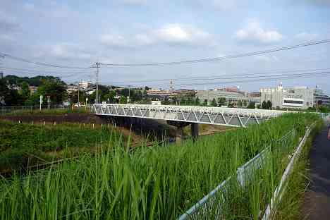 鶴見川本流全橋制覇の旅