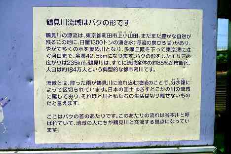 鶴見川本流全橋制覇の旅