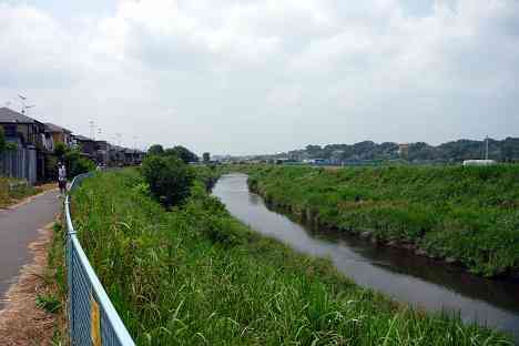 鶴見川本流全橋制覇の旅