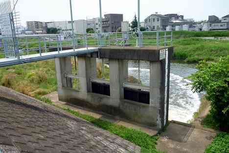 鶴見川本流全橋制覇の旅