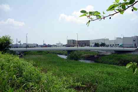 鶴見川本流全橋制覇の旅