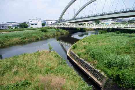 鶴見川本流全橋制覇の旅