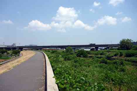 鶴見川本流全橋制覇の旅