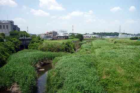 鶴見川本流全橋制覇の旅