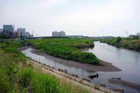 鶴見川本流全橋制覇の旅